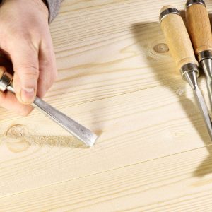 Set dlet za rezbarjenje 12 delni