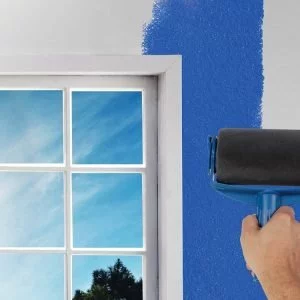 PAINT ROLLER PRO + Malset