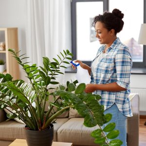 Ročna pršilka 0,75L - šprica