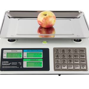 Inox digitalna elektronska tehtnica do 40kg osvetljena LCD