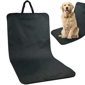 ein Hund, der auf einem Stuhl sitzt