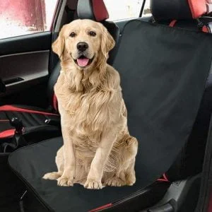 ein Hund, der in einem Autositz sitzt