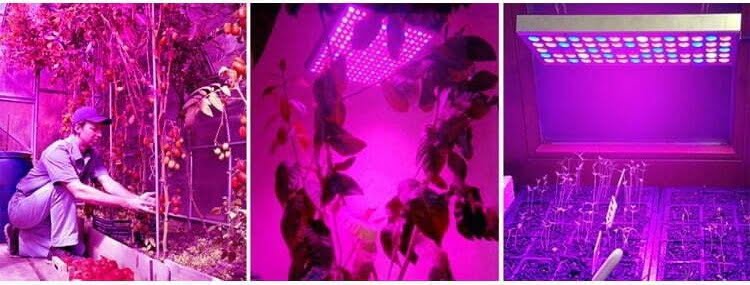 HALOorodje.si Spletna Trgovina