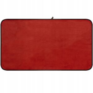 a red rectangular rug with black trim
